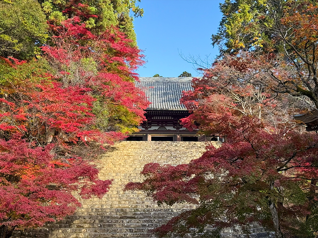 神護寺紅葉-20