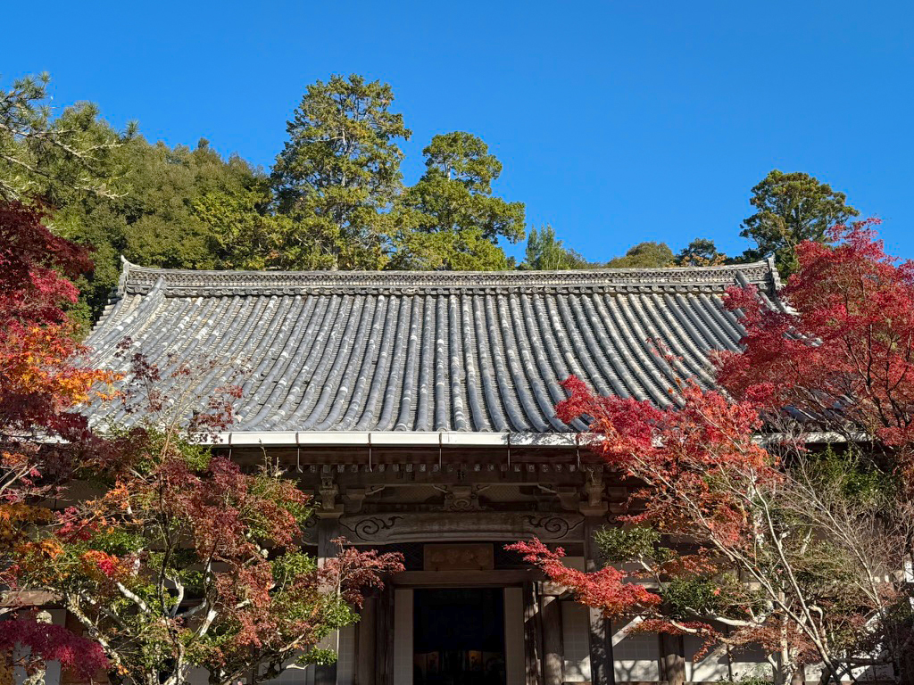 京都高雄 西明寺紅葉-1