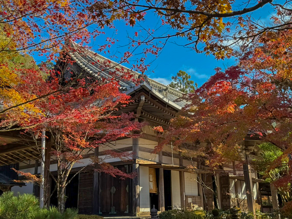 京都高雄 西明寺紅葉-11