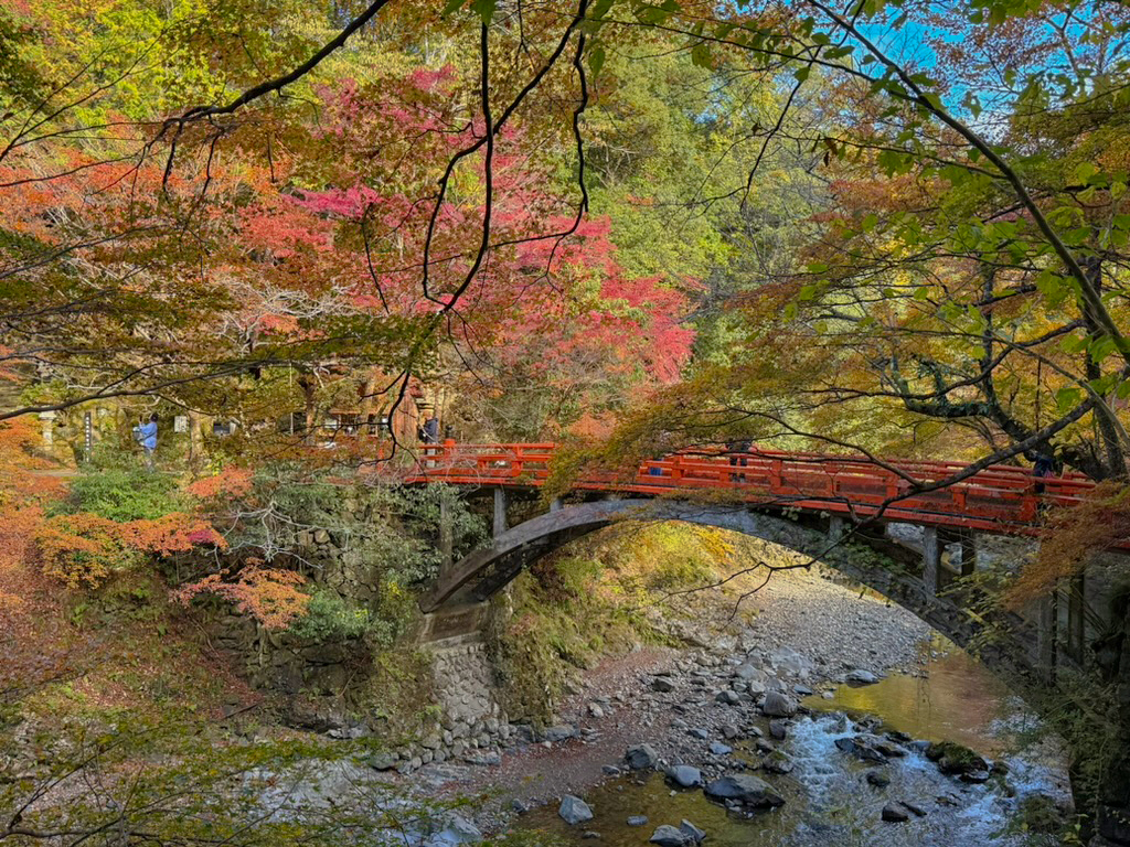 京都高雄 西明寺紅葉-12