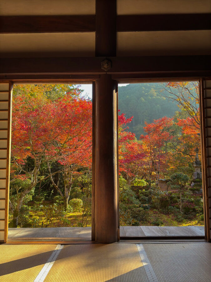 京都高雄 西明寺紅葉-4