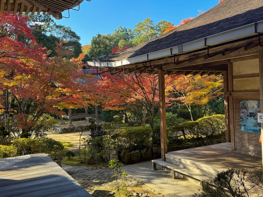 京都高雄 西明寺紅葉-5