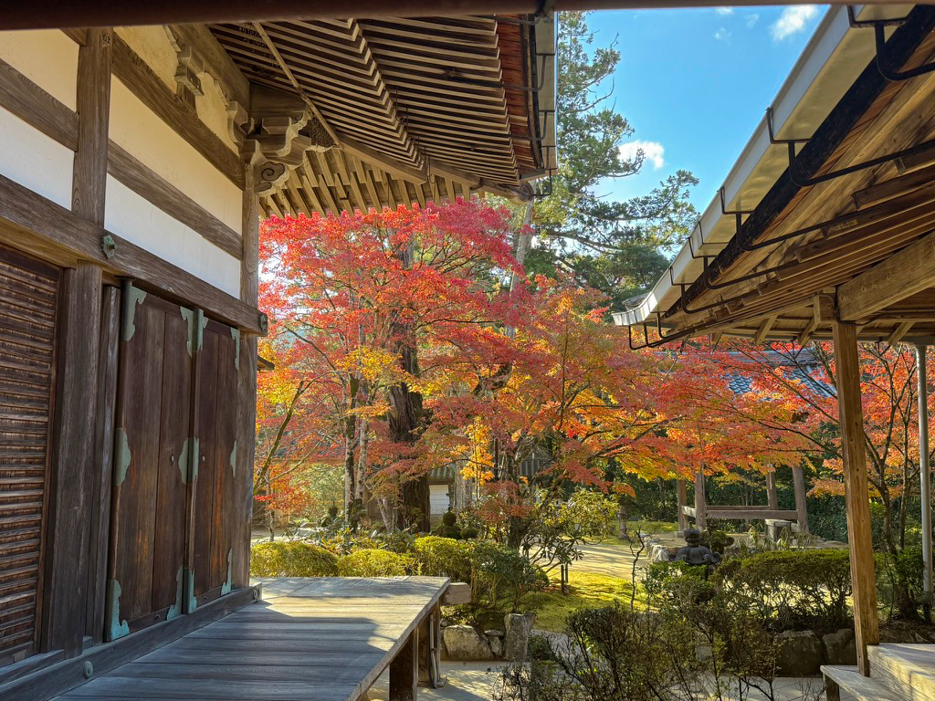 京都高雄 西明寺紅葉-6