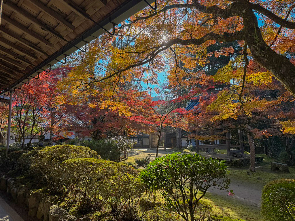 京都高雄 西明寺紅葉-8