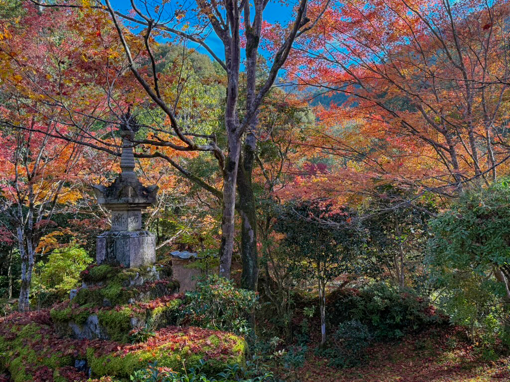 京都高雄 西明寺紅葉-9