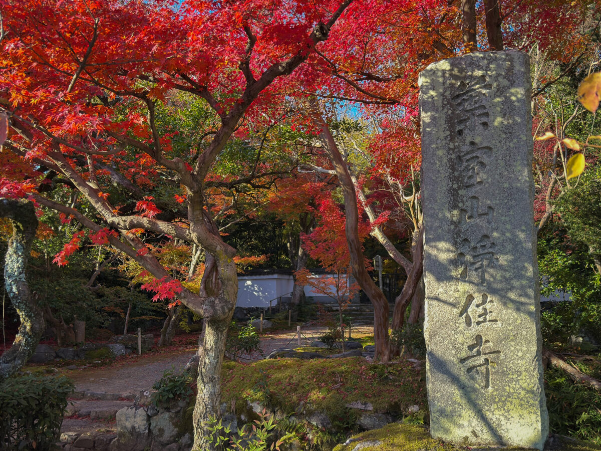 京都・西山の紅葉の穴場スポット 葉室山浄住寺の紅葉 - 京都観光のすゝめ