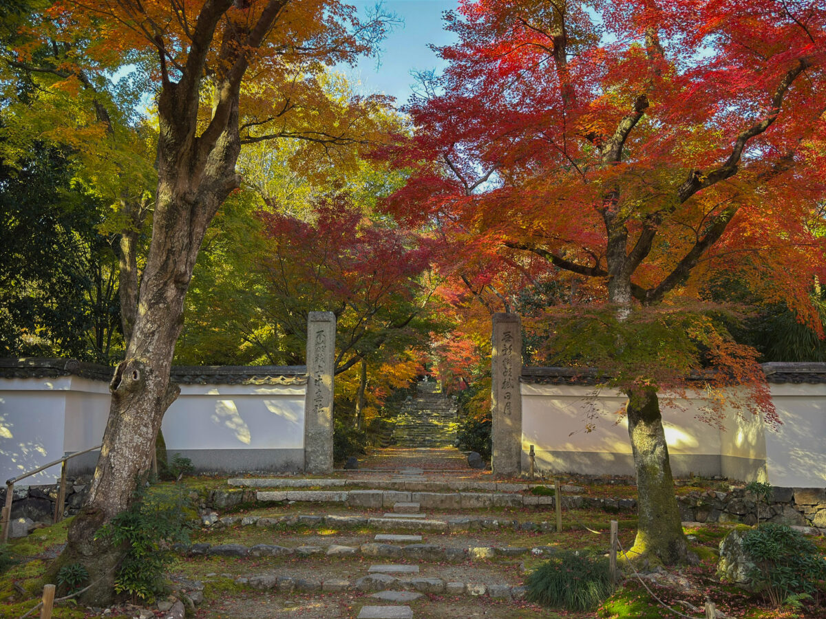 浄住寺紅葉-3