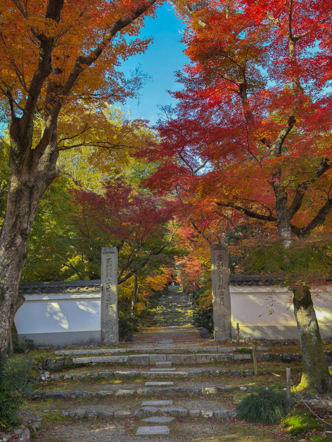 浄住寺紅葉-4