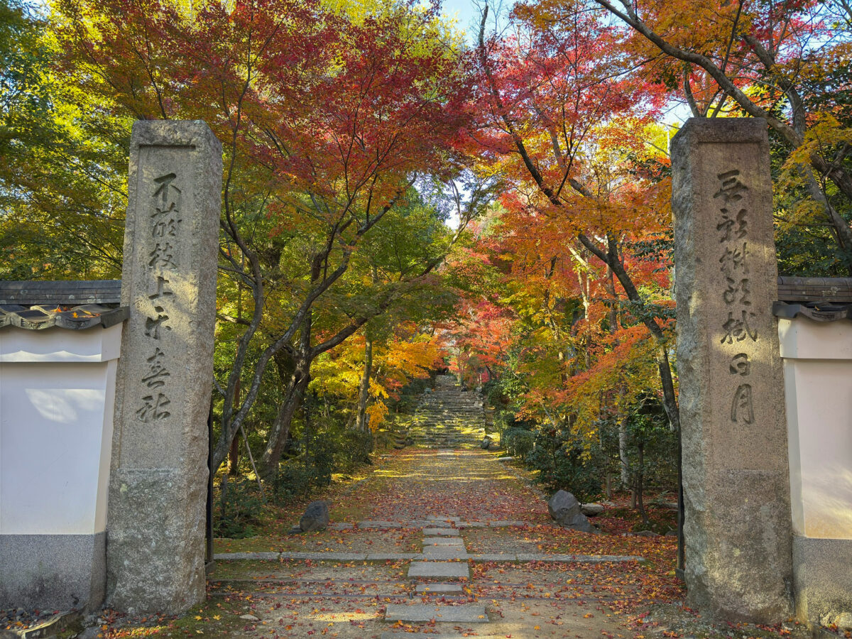 浄住寺紅葉-9