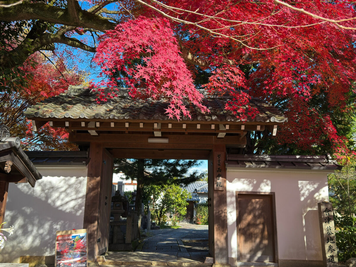 西雲院紅葉-5