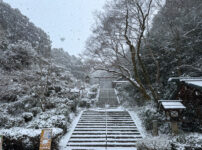 日向大神宮　雪景色-1