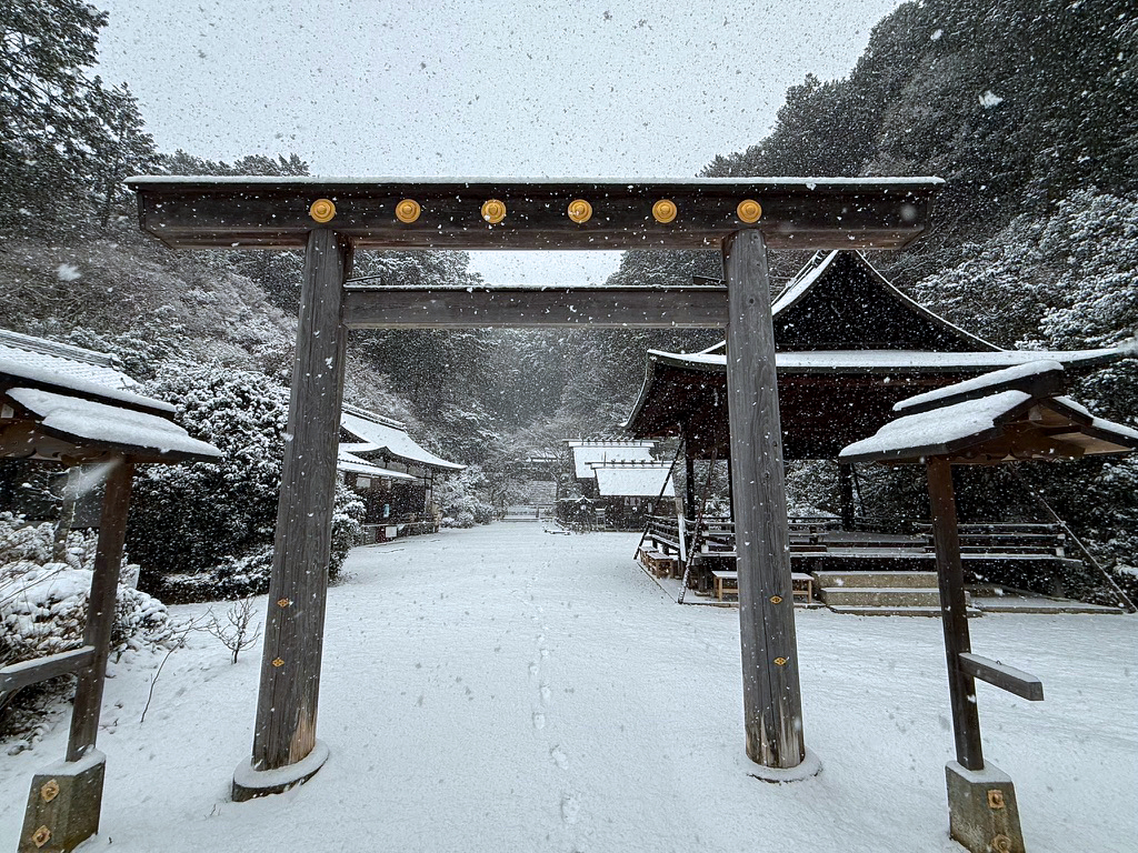 日向大神宮　雪景色-2