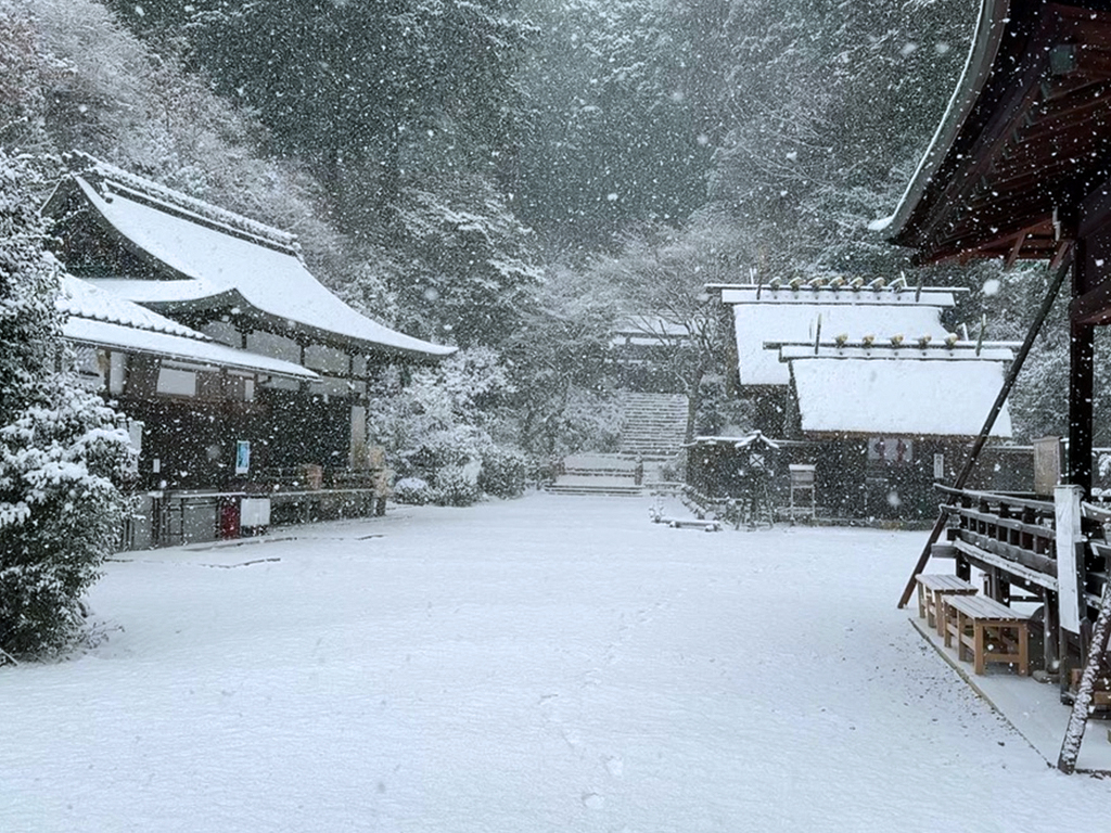 日向大神宮　雪景色-3