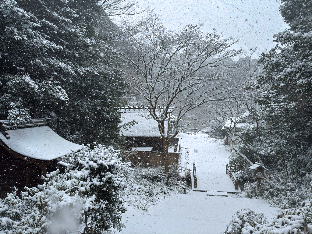 日向大神宮　雪景色-4