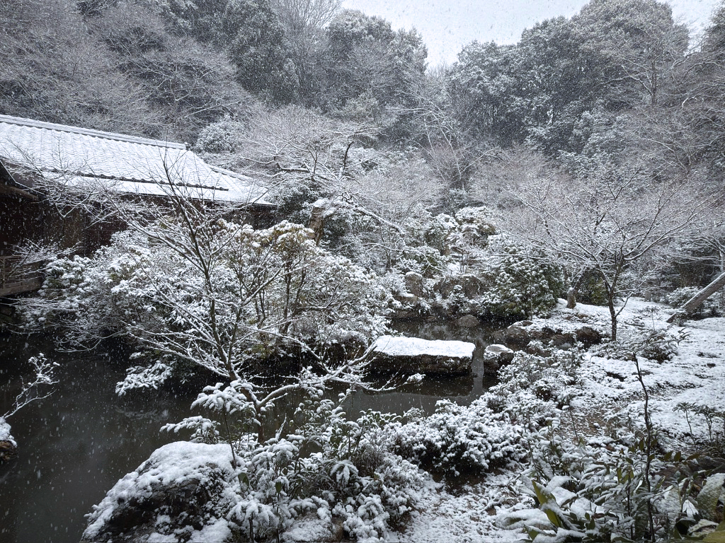 京都 実相院の雪景色-7