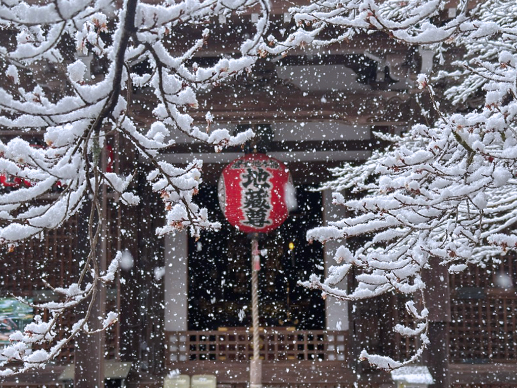 赤山禅院雪-12