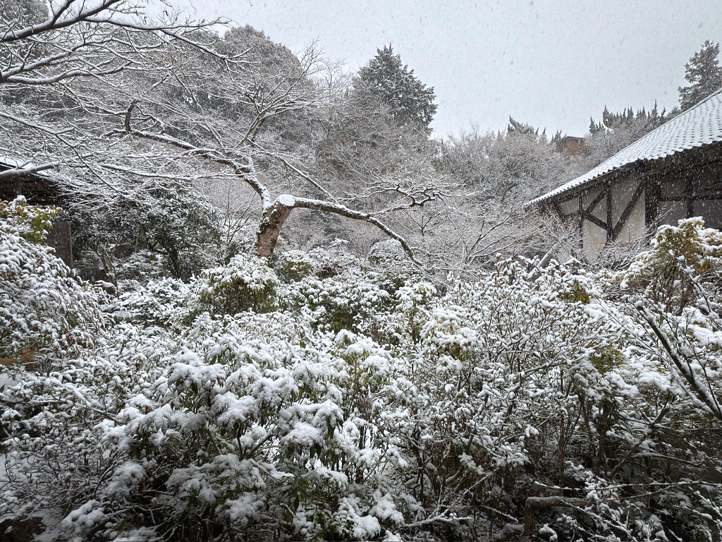 京都 実相院の雪景色-6