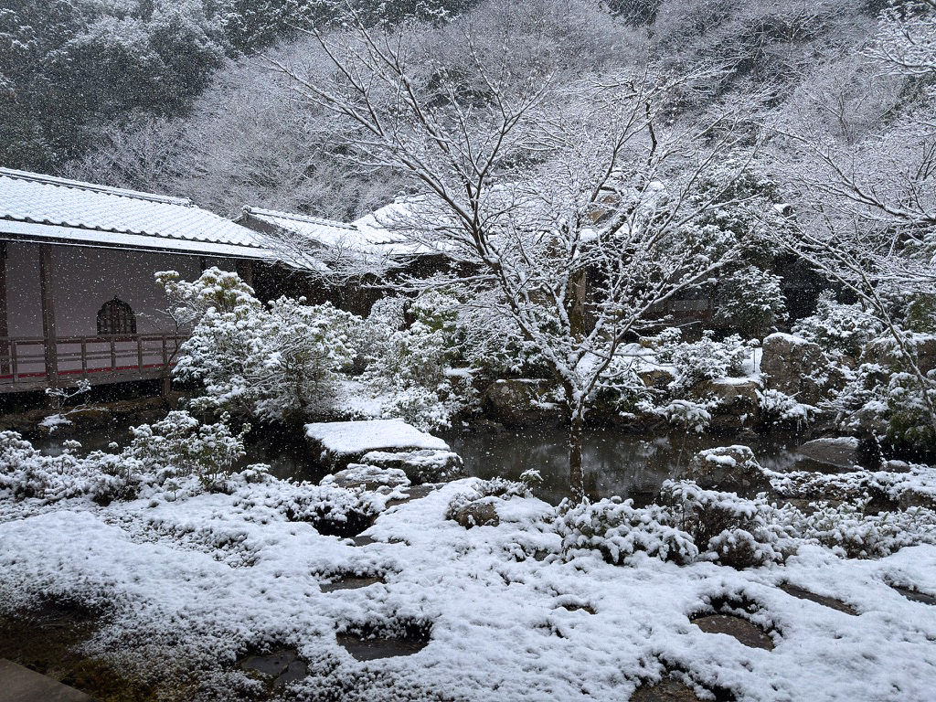 京都 実相院の雪景色-4