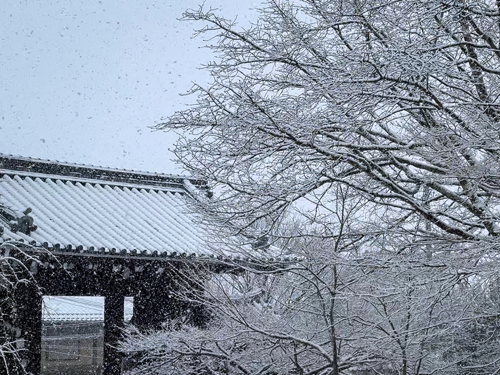 京都 実相院の雪景色-1