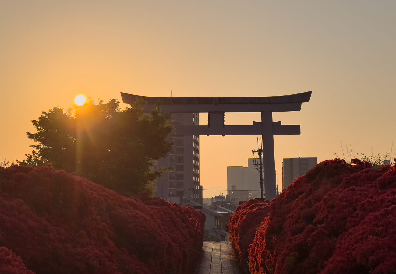 長岡天満宮ツツジ-6