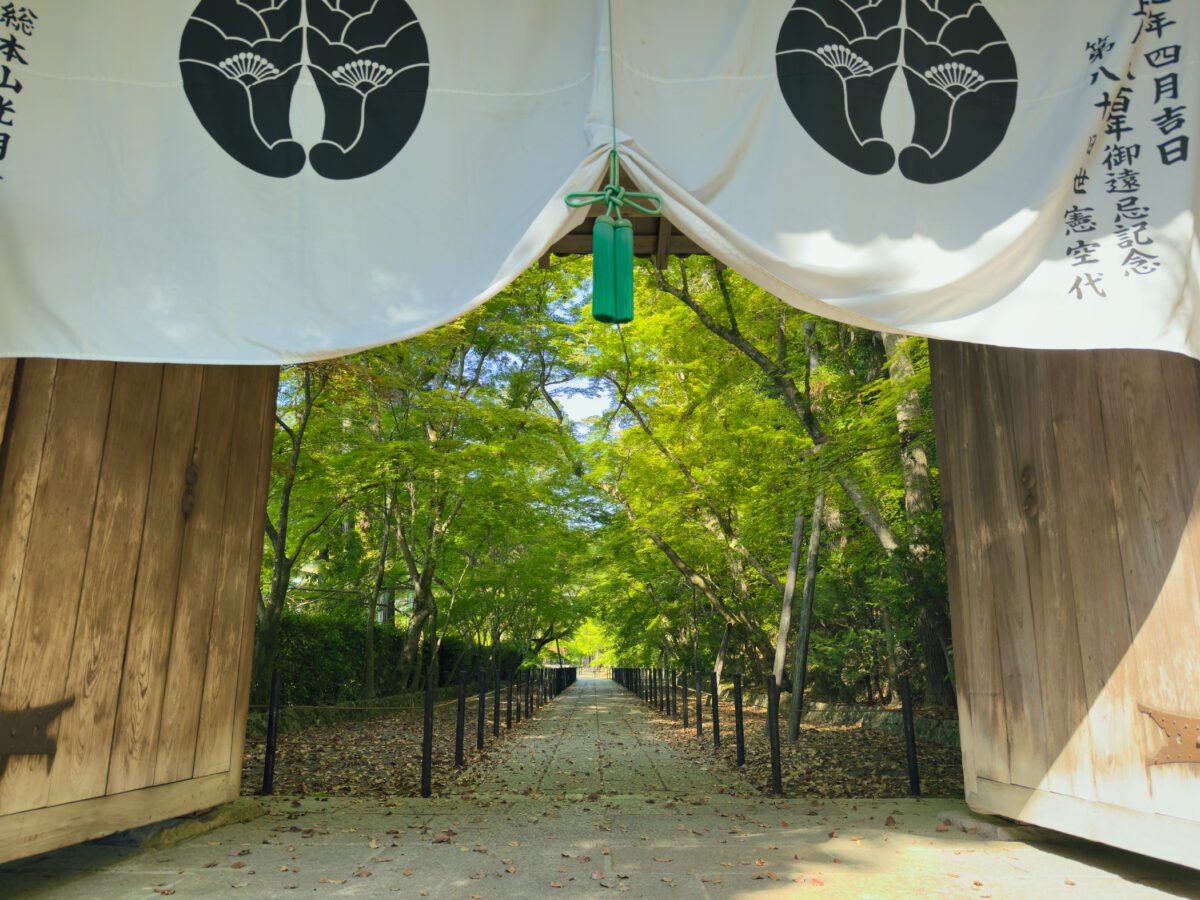 光明寺青紅葉20250426-7