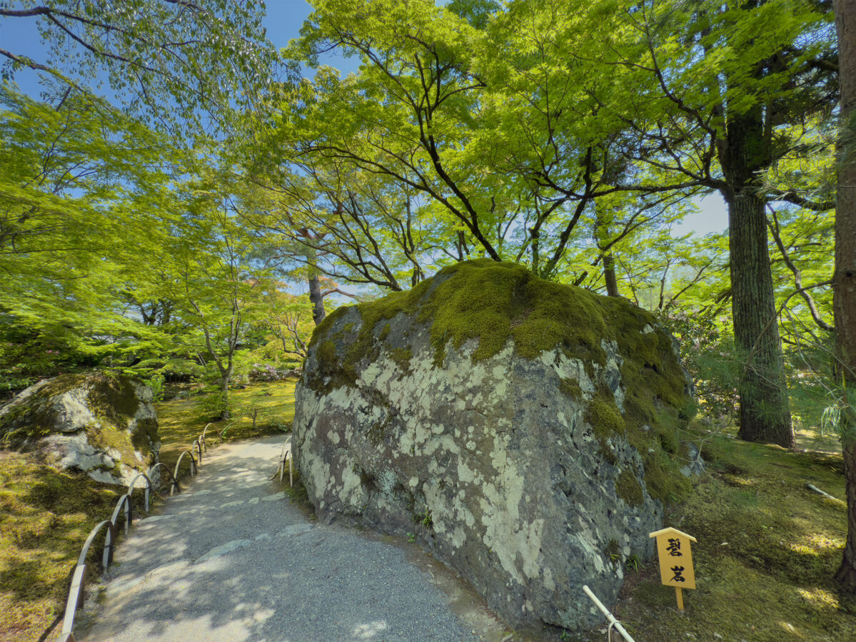 宝厳院青紅葉20250426-9