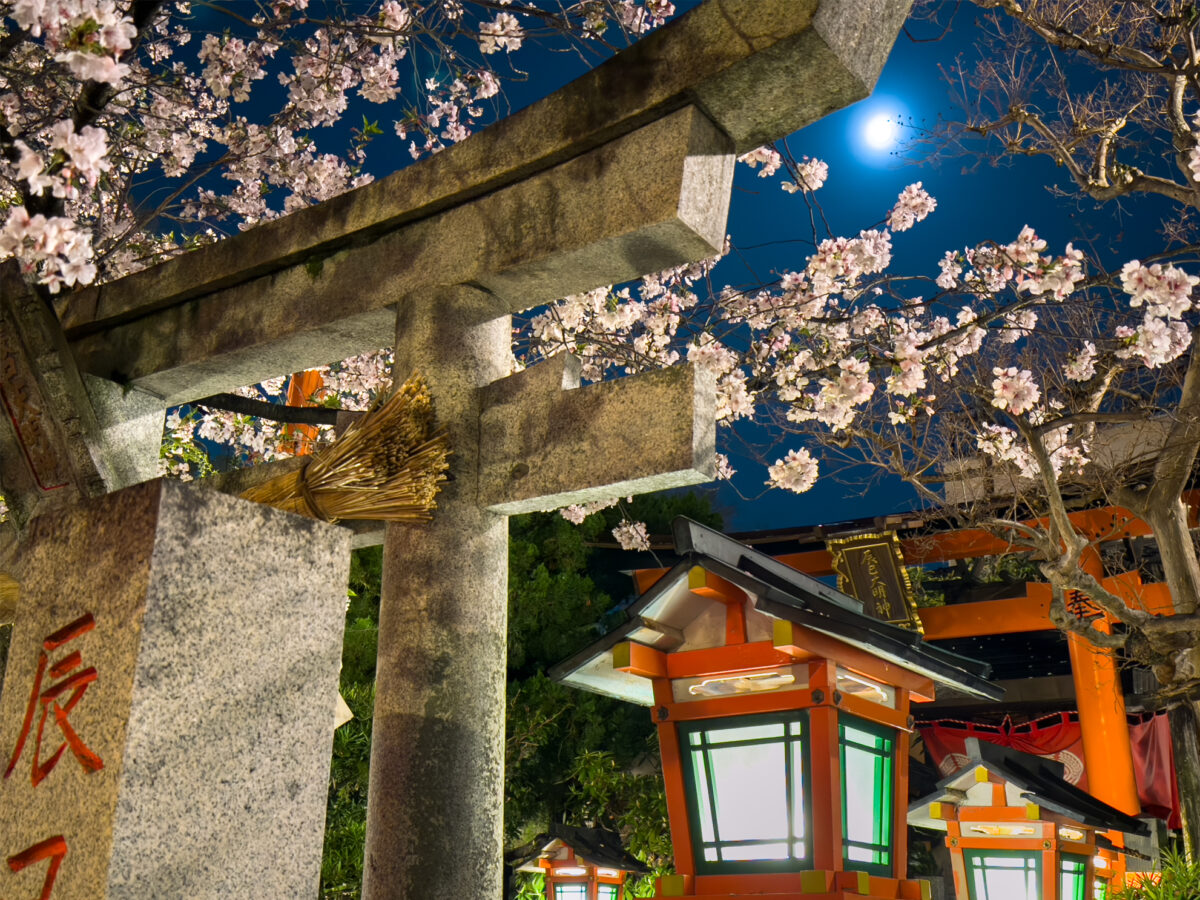 祇園白川桜20250411-4