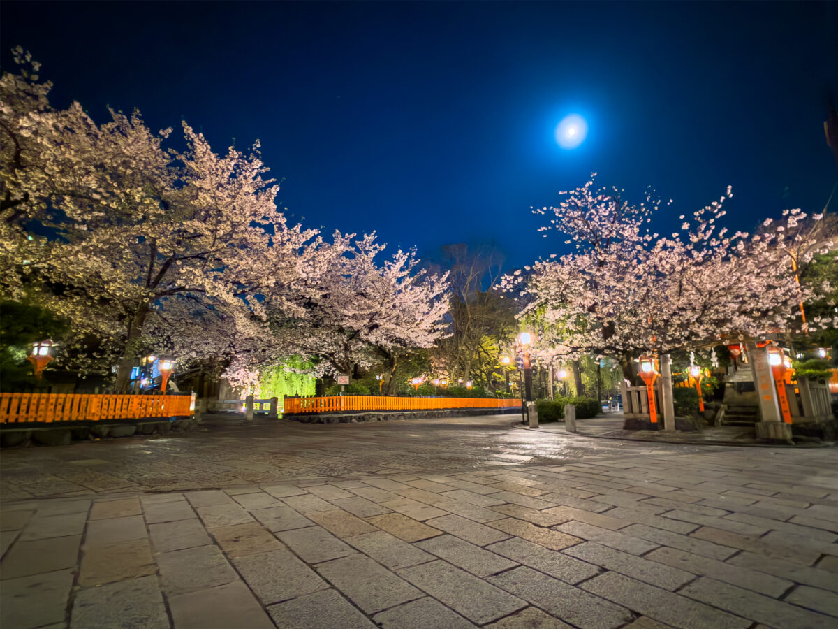 祇園白川桜20250411-6
