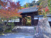 善法立寺紅葉-3