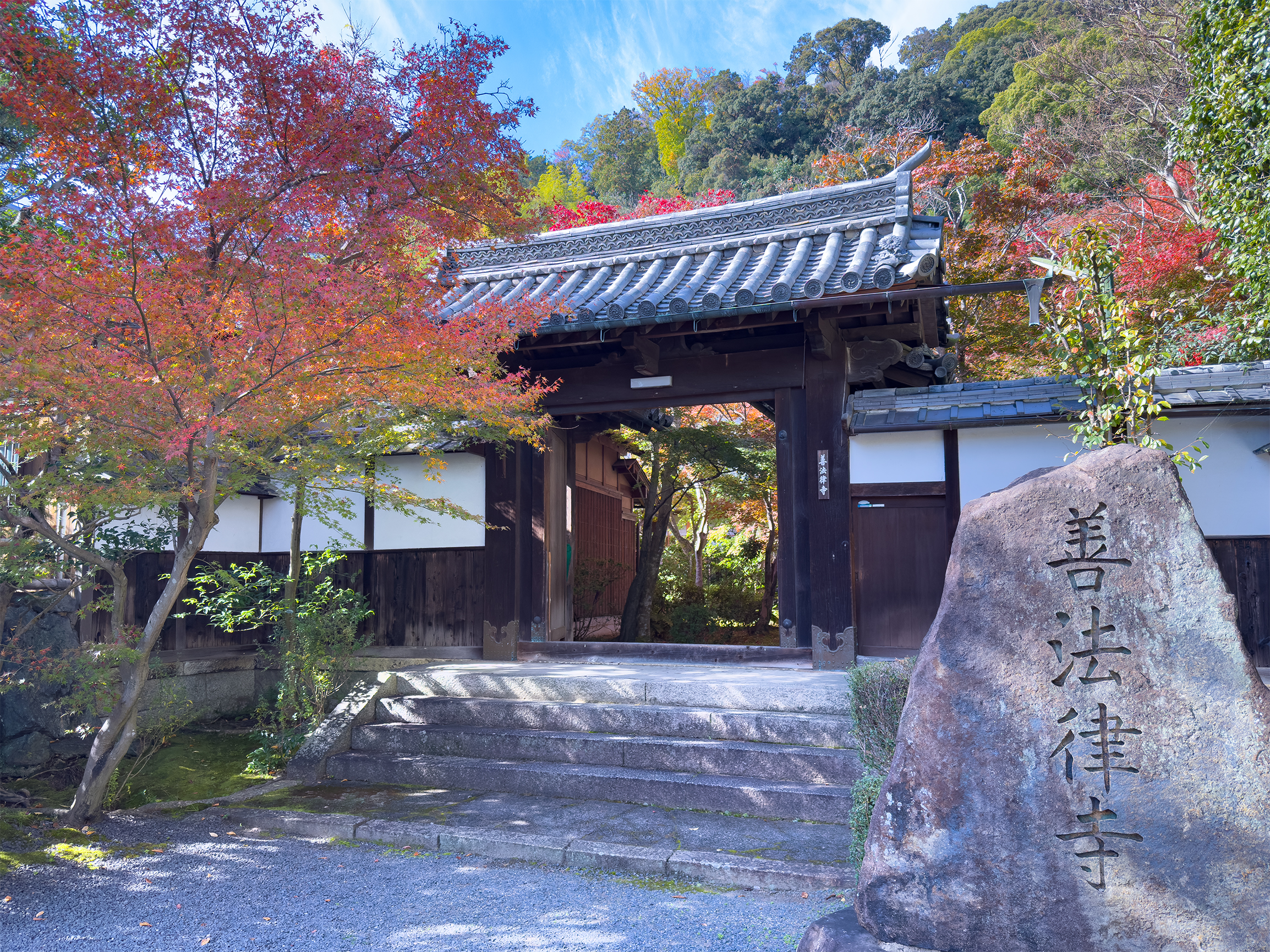 善法立寺紅葉-3