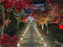 大御堂観音寺紅葉-20