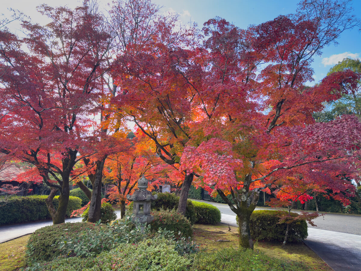 将軍塚紅葉-2jpg