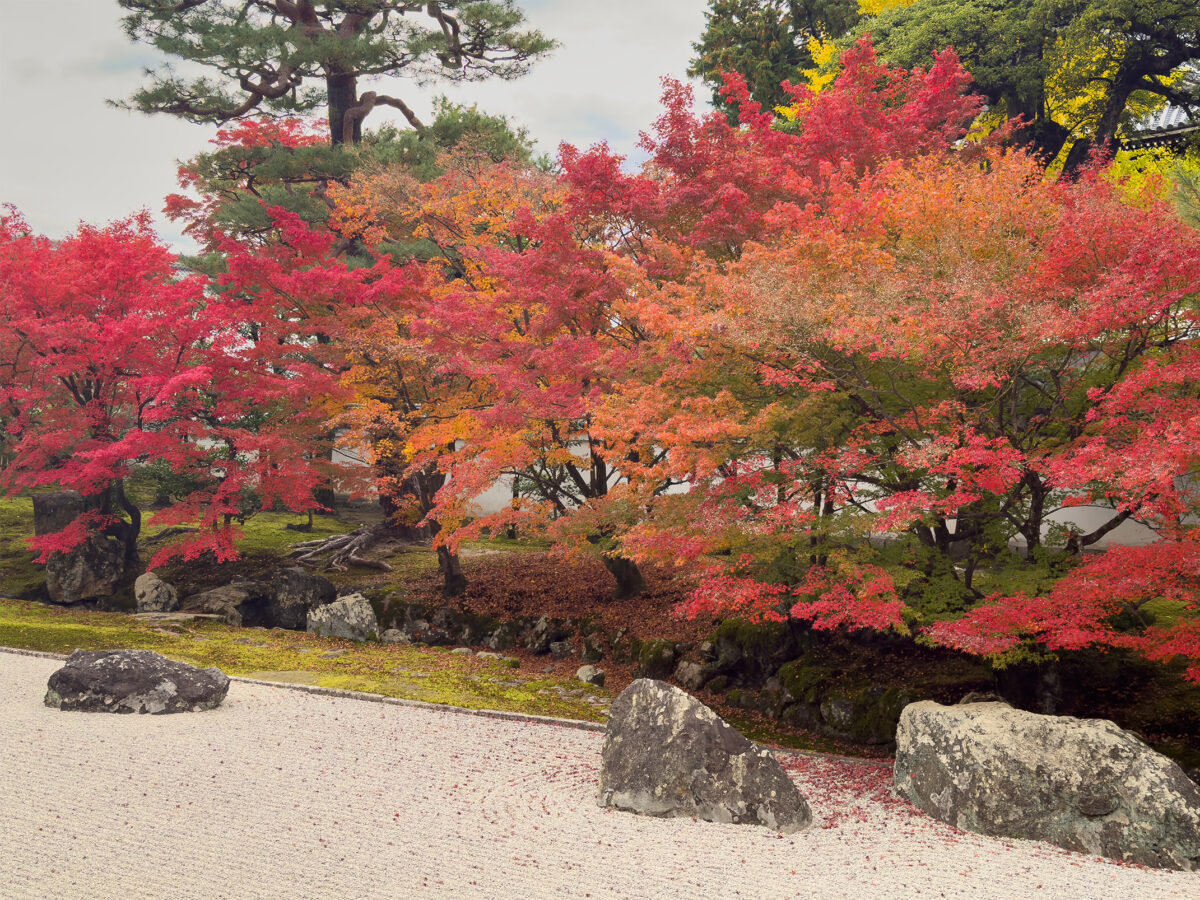 相国寺紅葉-10