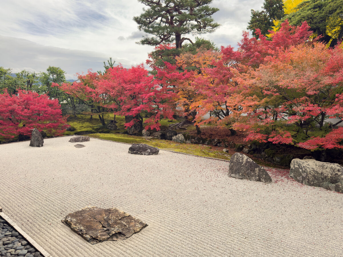 相国寺紅葉-11