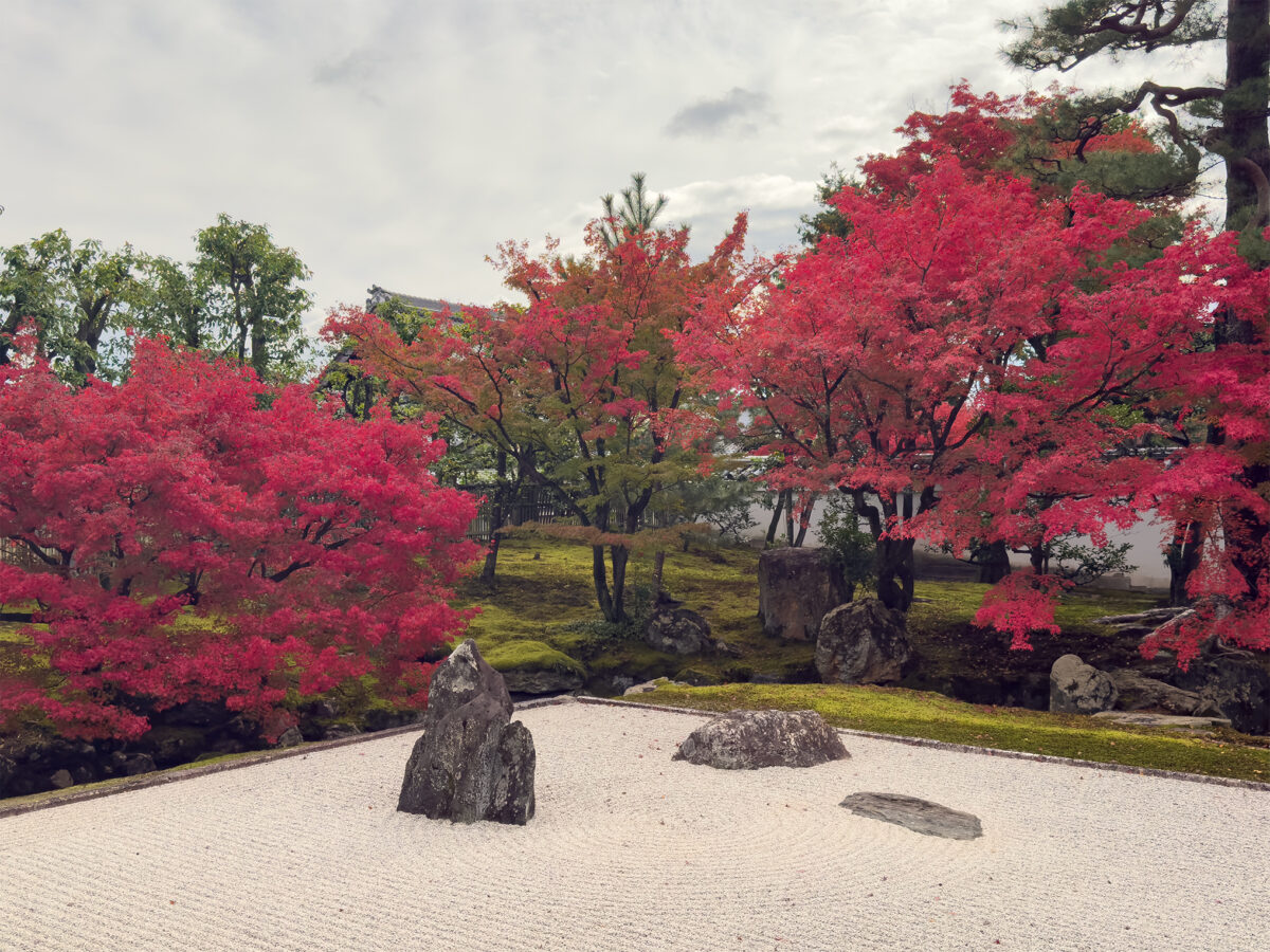 相国寺紅葉-2