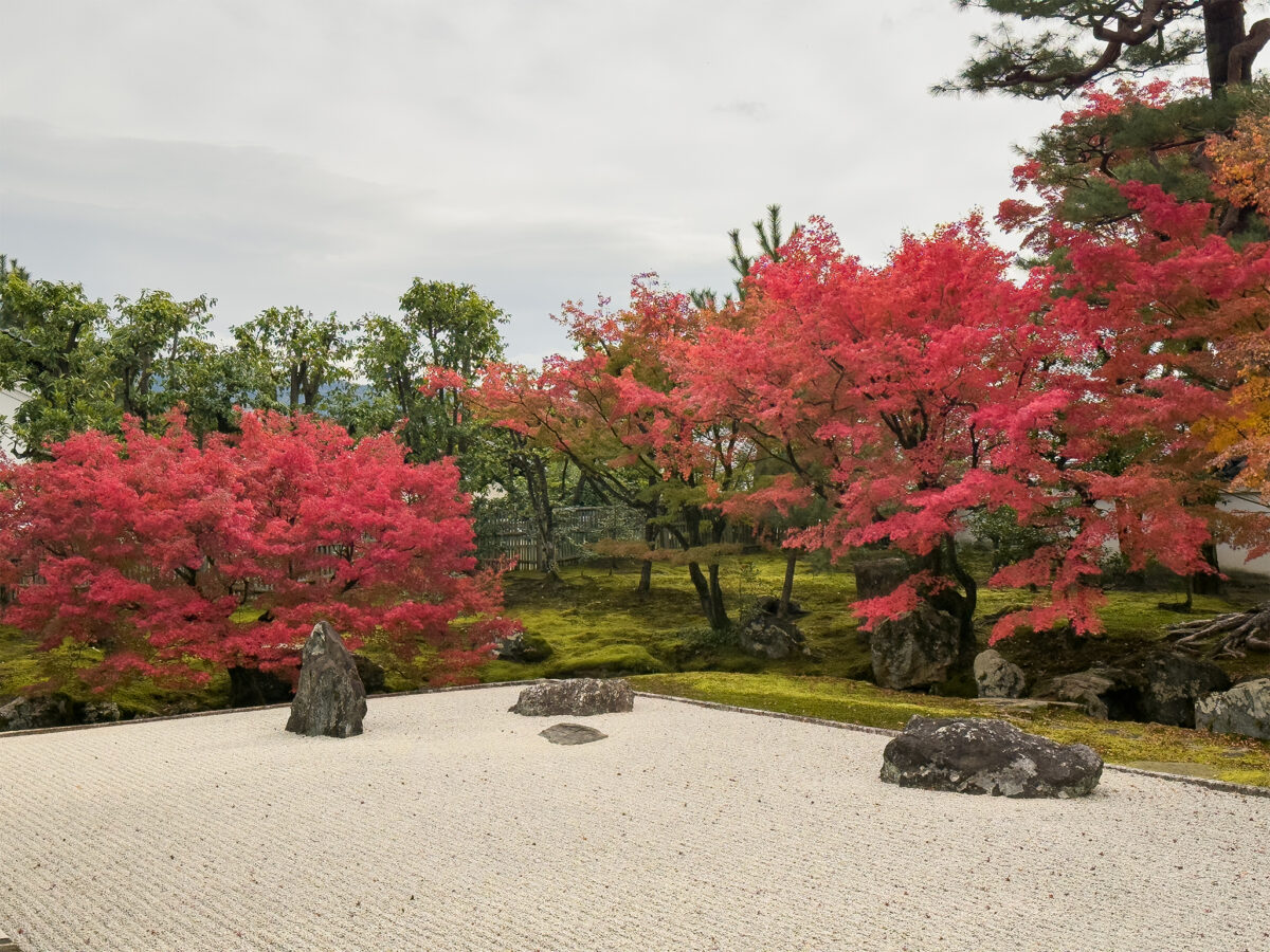 相国寺紅葉-4