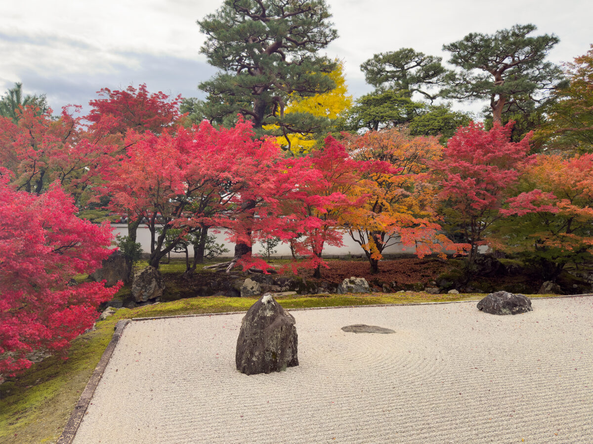 相国寺紅葉-6
