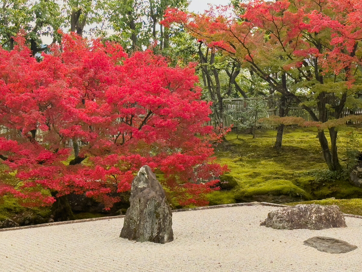 相国寺紅葉-9