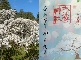大原野神社御朱印紹介
