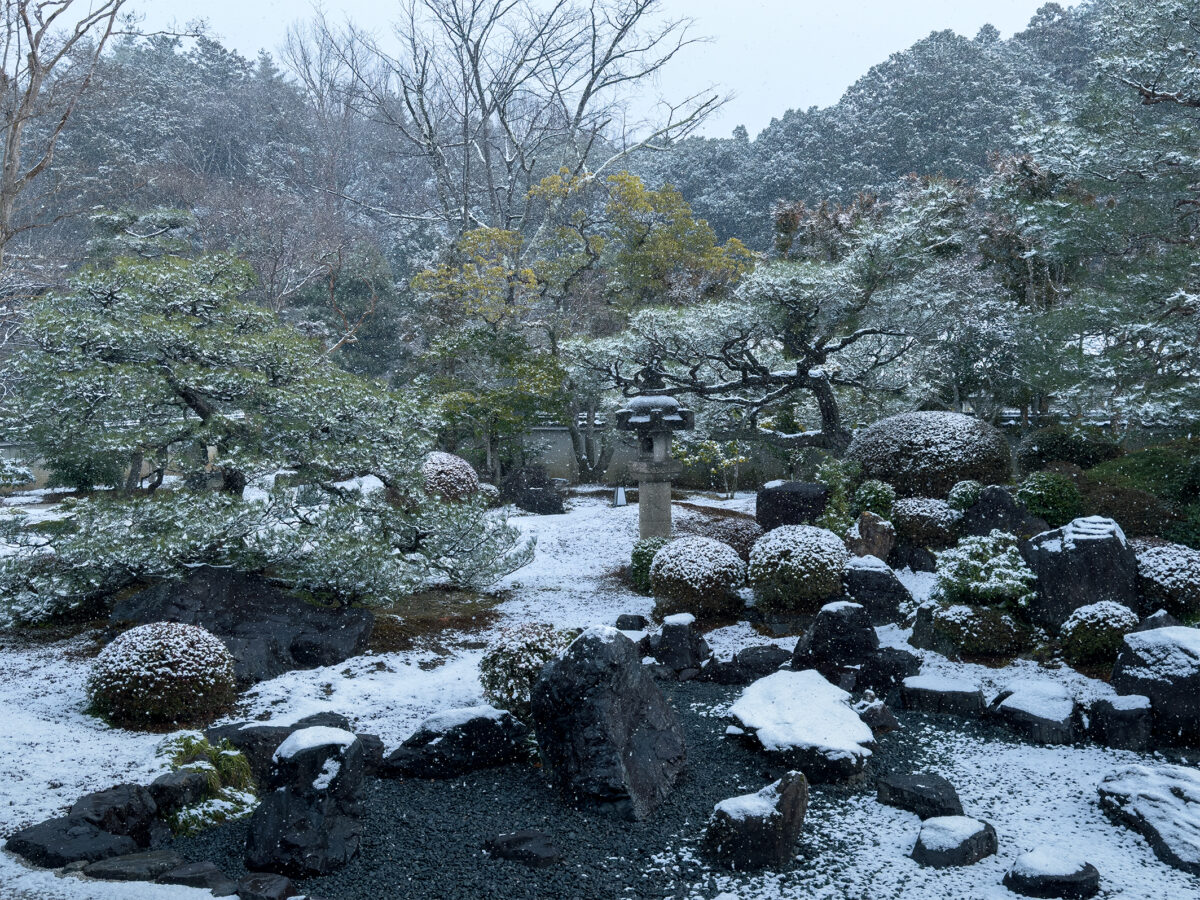 妙満寺雪260125-12