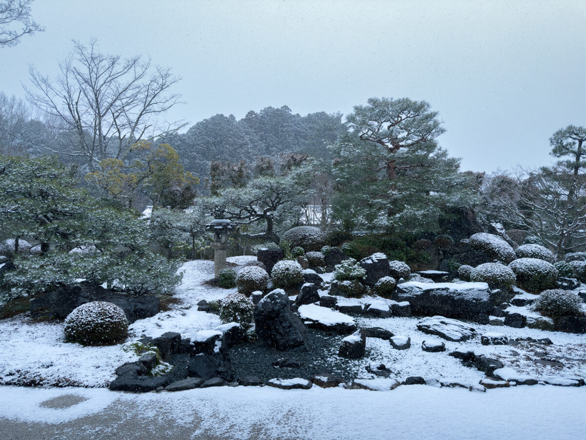 妙満寺雪260125-13