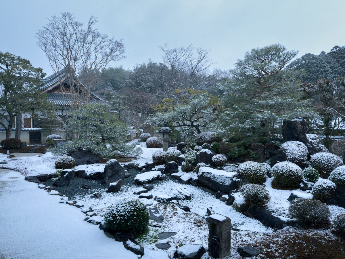 妙満寺雪260125-14