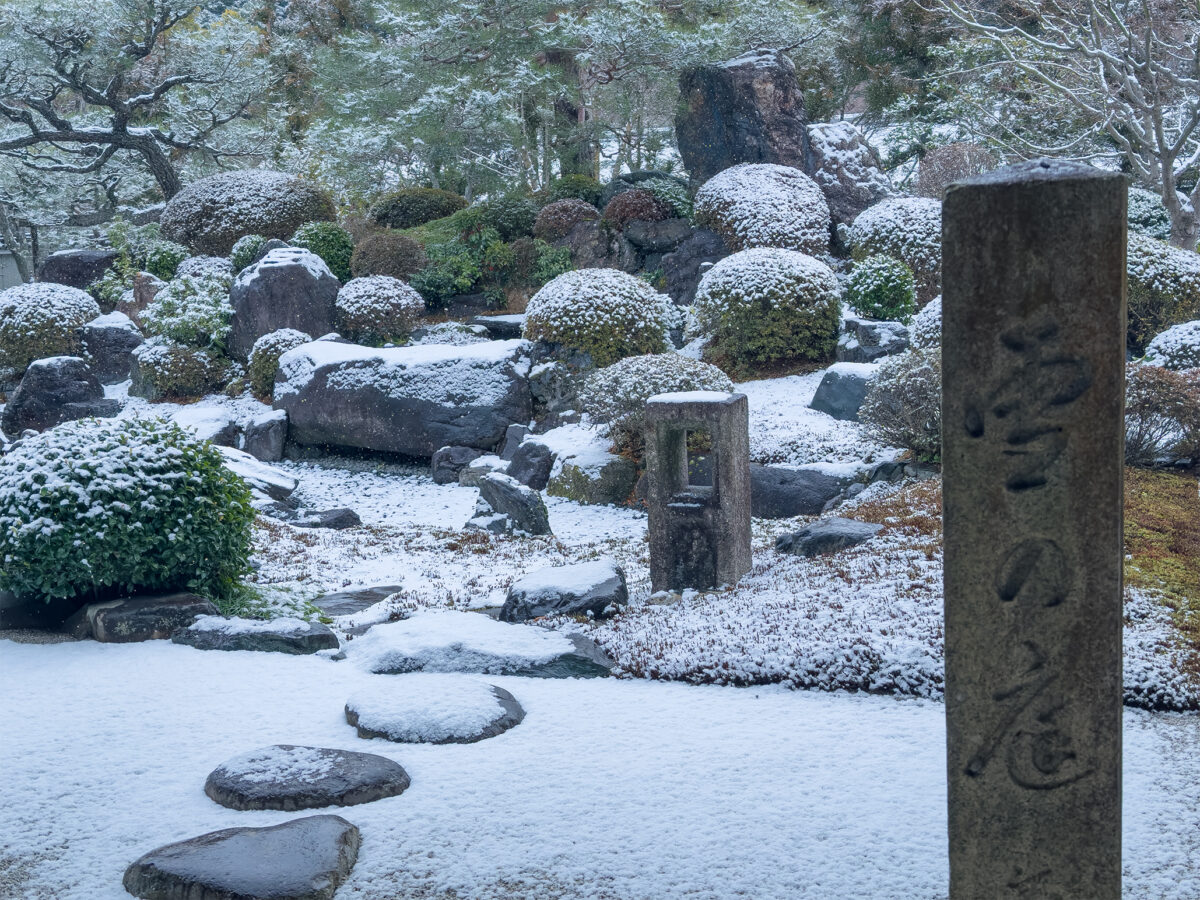 妙満寺雪260125-15
