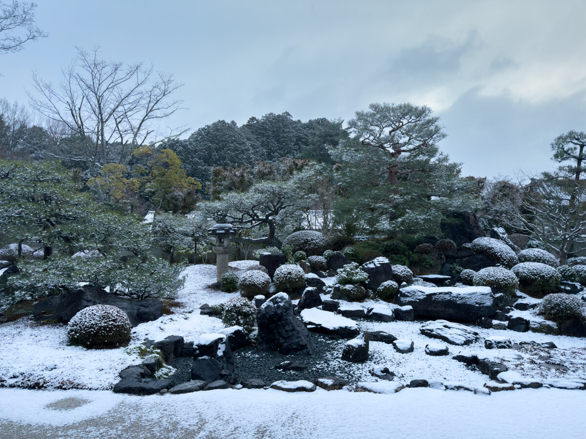 妙満寺雪260125-16