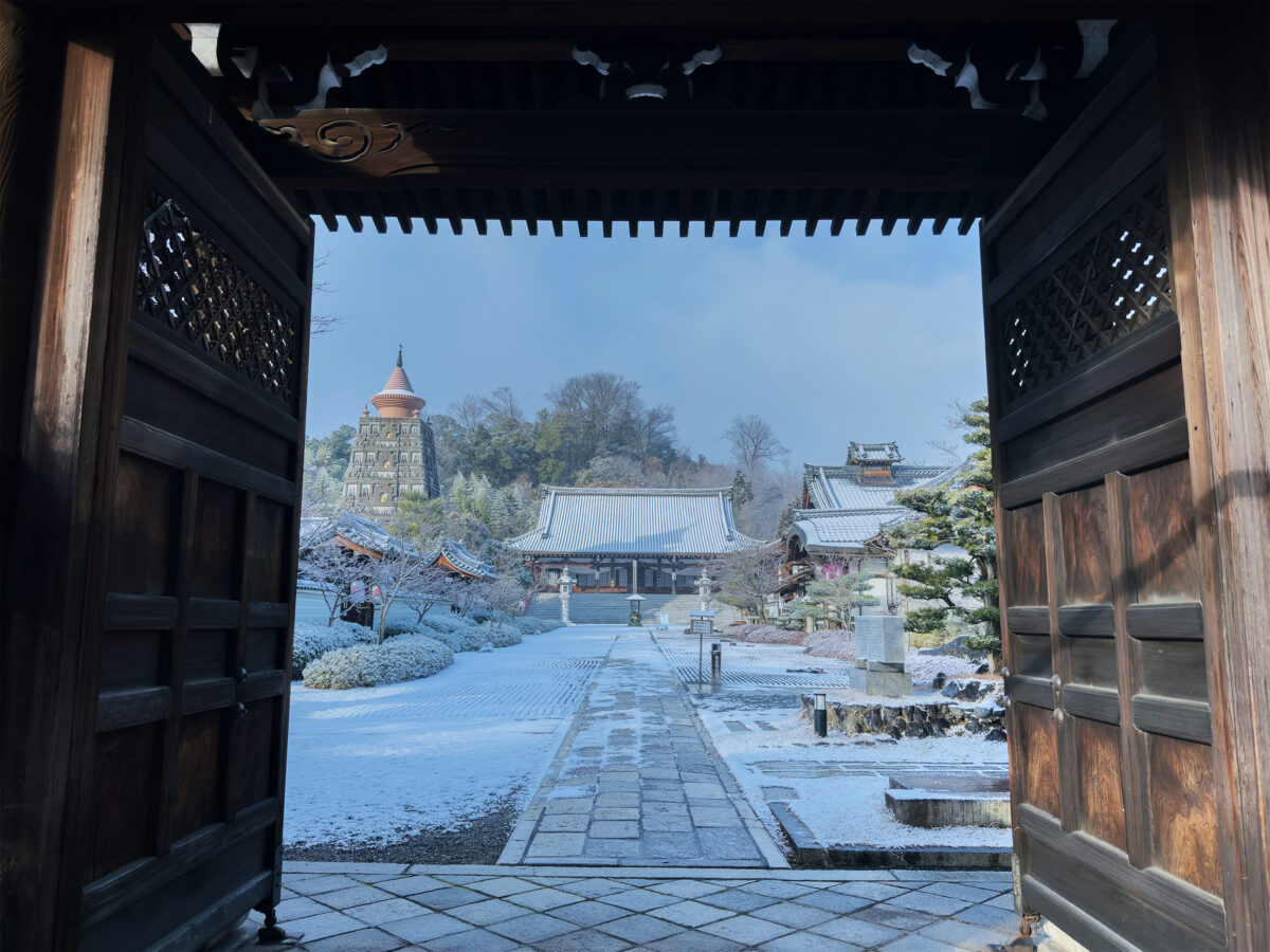 妙満寺雪260125-2