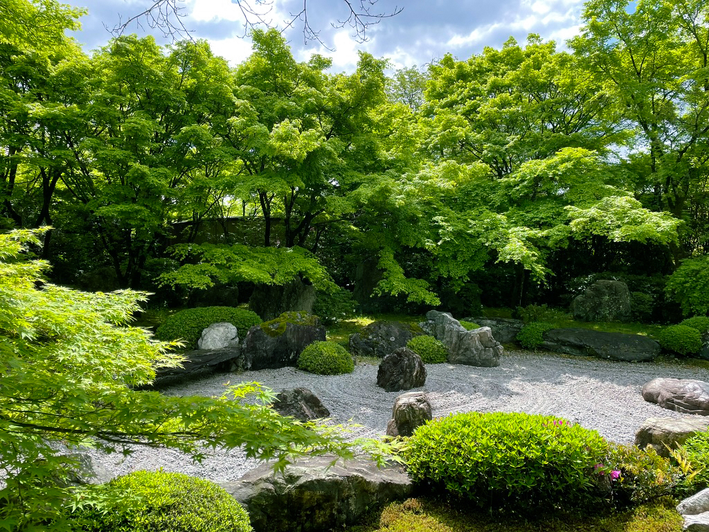 将軍塚青紅葉240425-1