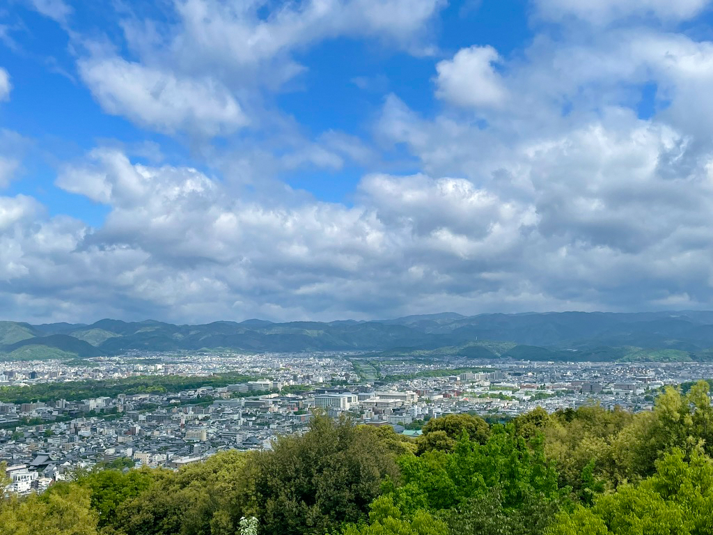 将軍塚青紅葉240425-13