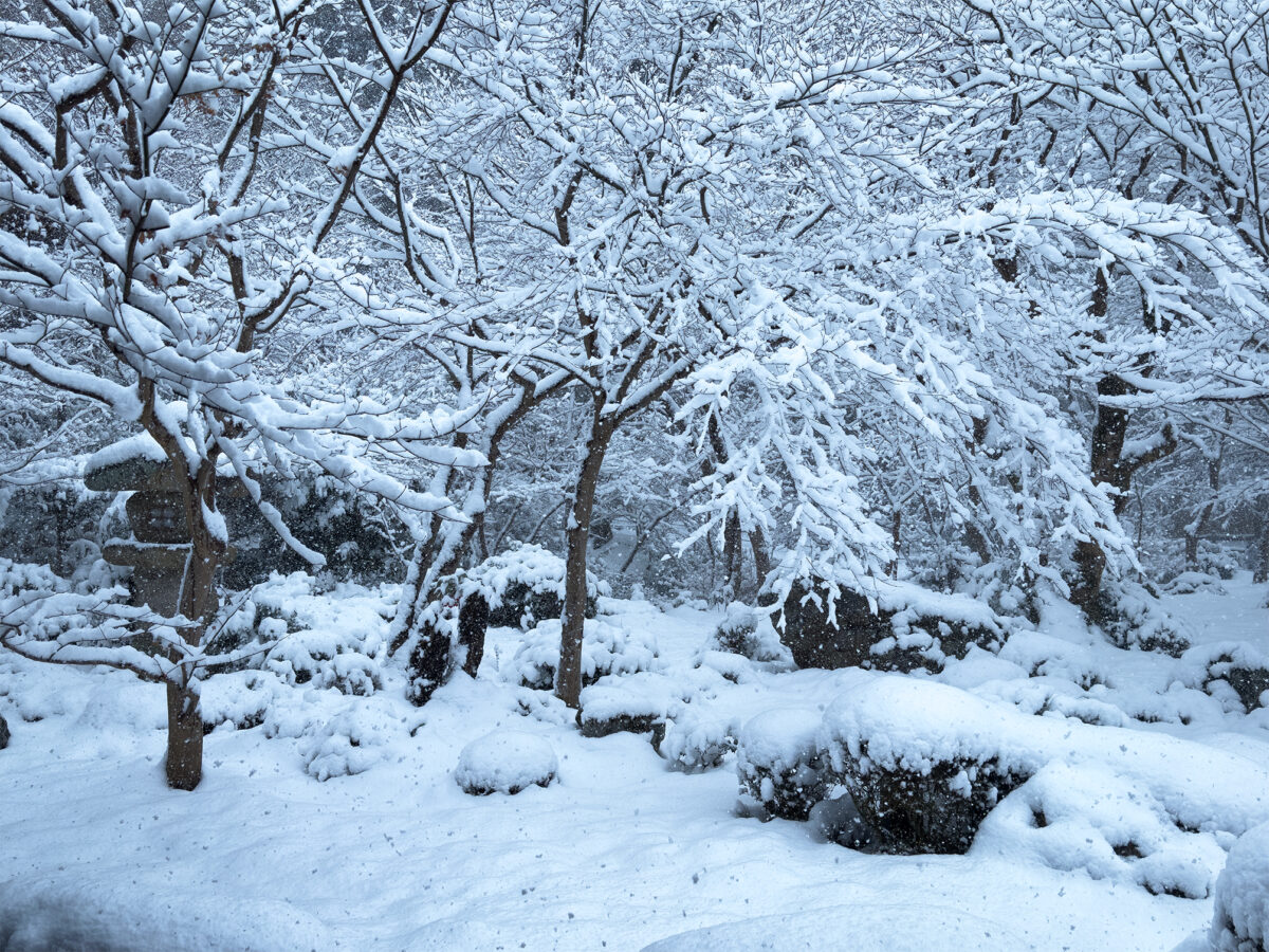圓光寺雪260208-11