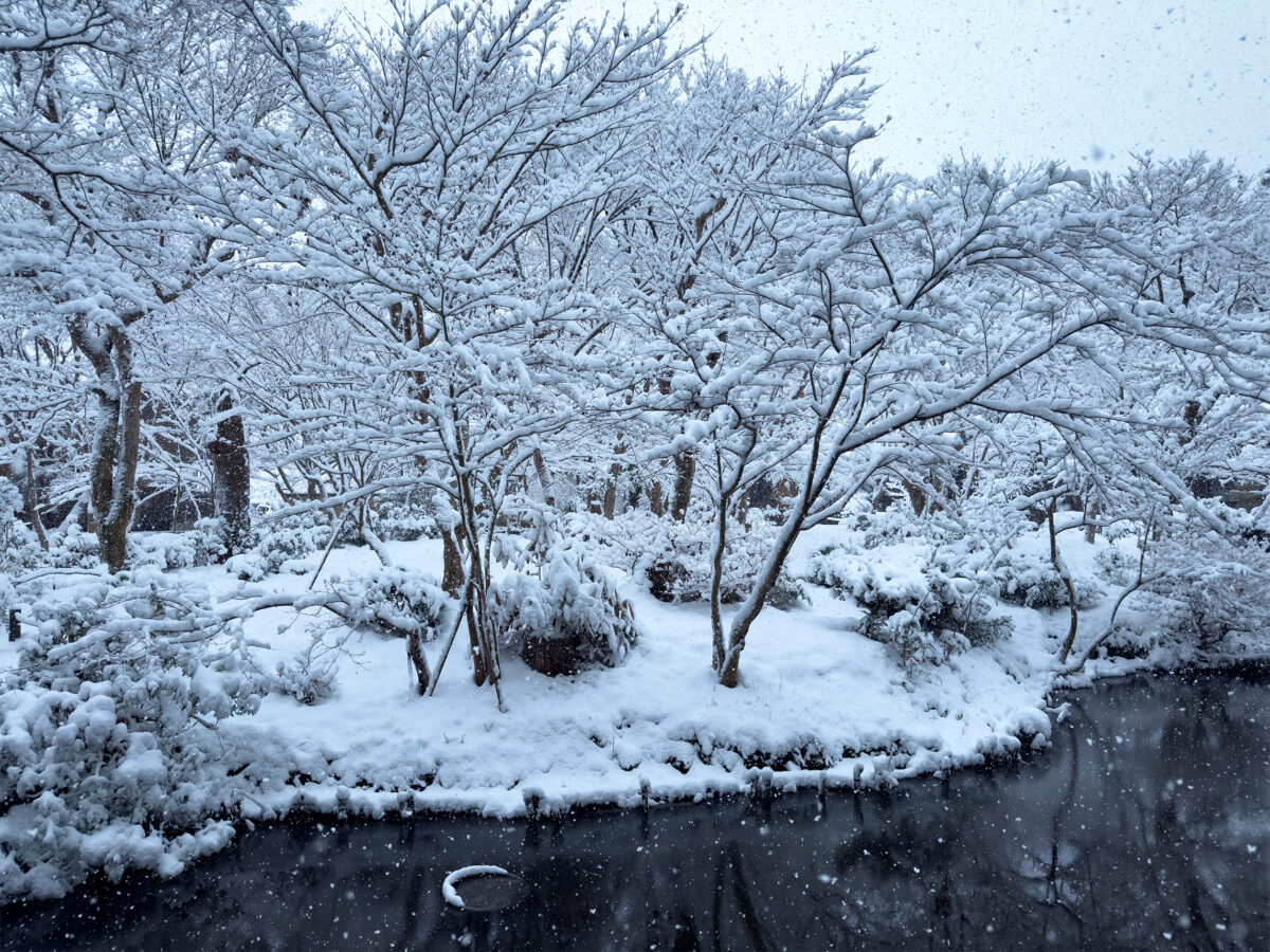 圓光寺雪260208-15