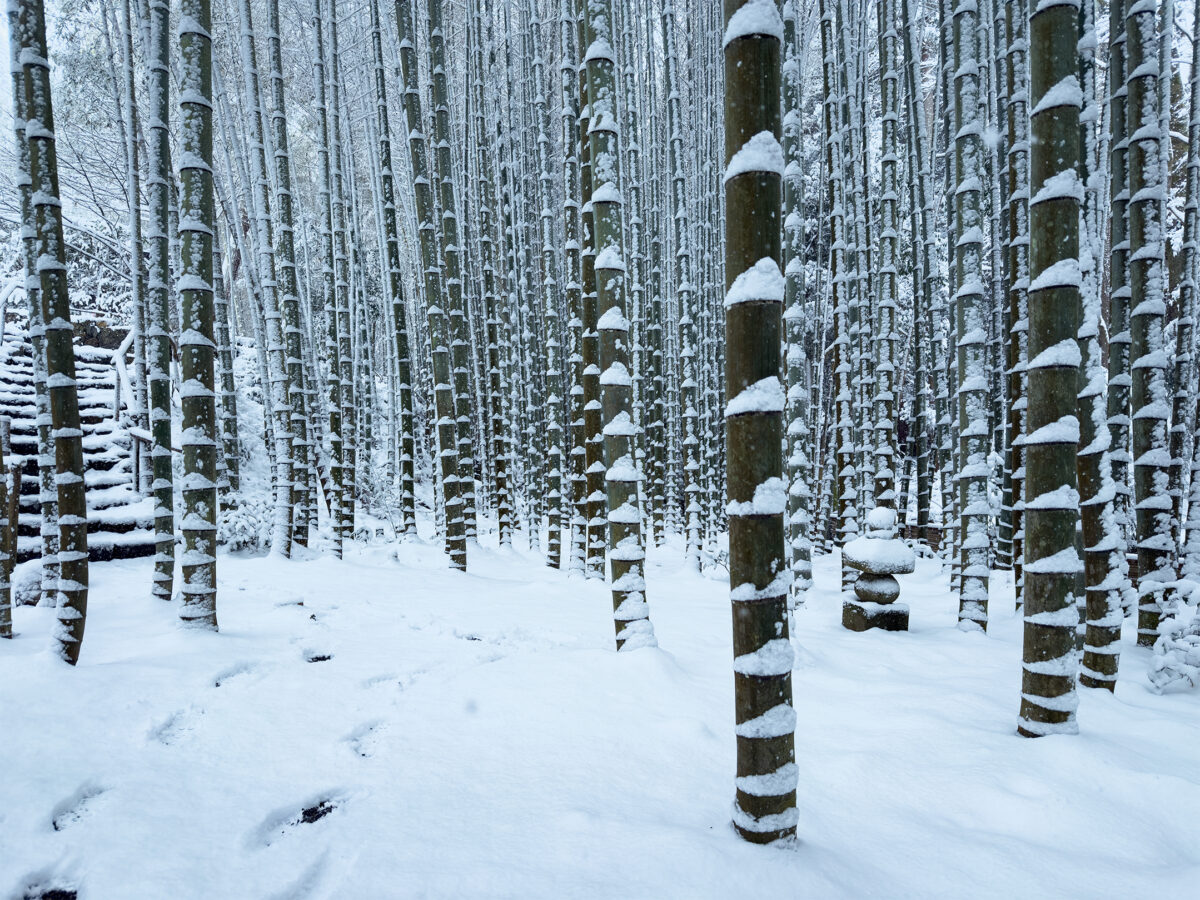 圓光寺雪260208-16